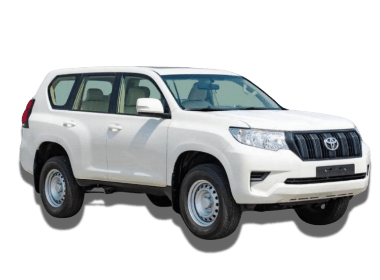 White prado rent